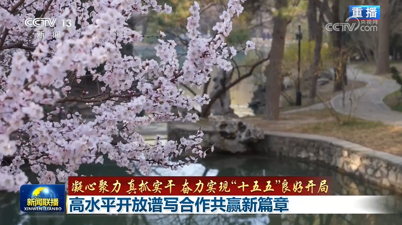 高水平开放谱写合作共赢新篇章