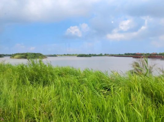 微信图片_20260325143821_1071_10