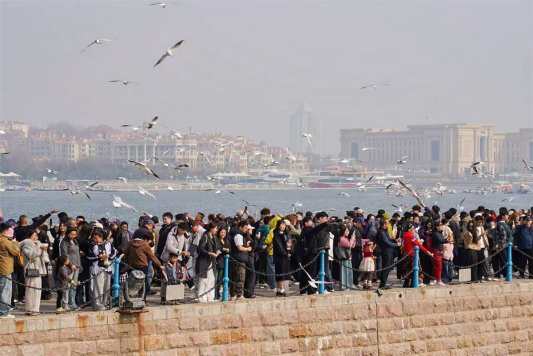 4379d3e6e2ca9d7944d352249e99085a