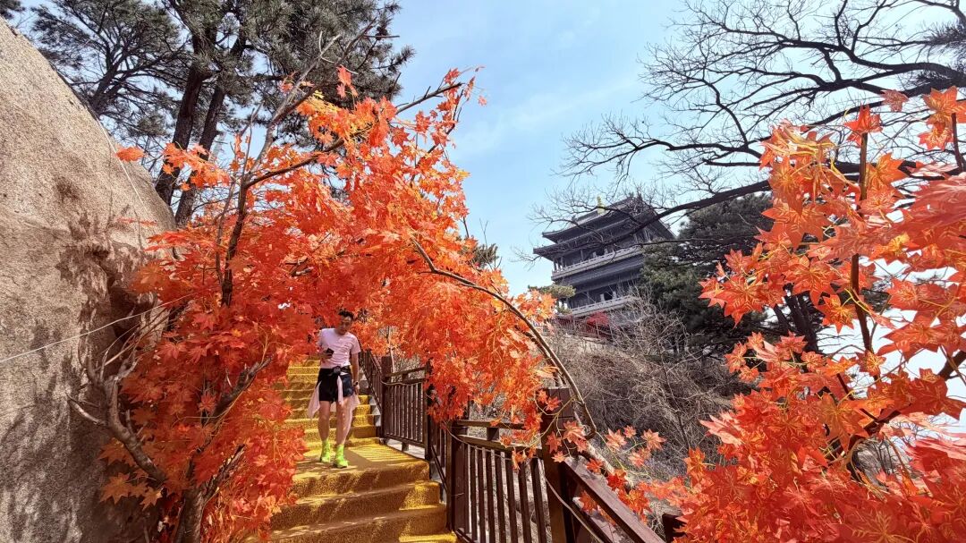 迎省运 上春山 万名登山爱好者齐聚天蒙 共赴春日山水之约