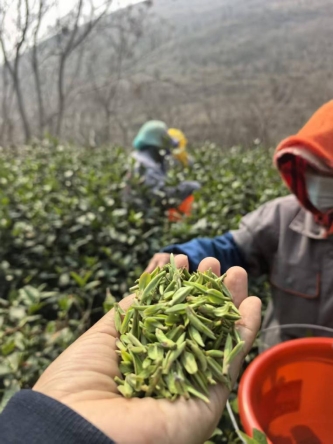 cd038d2a03264b23634498388bbfc52f