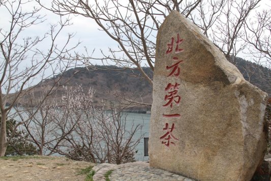 微信图片_20260329185043_19_77