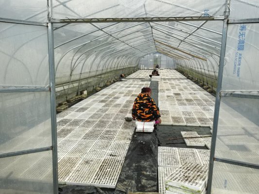 9106321614c190b5a509d0b936daafaa(2)