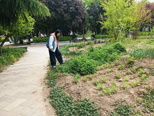 c94dc939160da24f95f8dbc18c8f6f7a