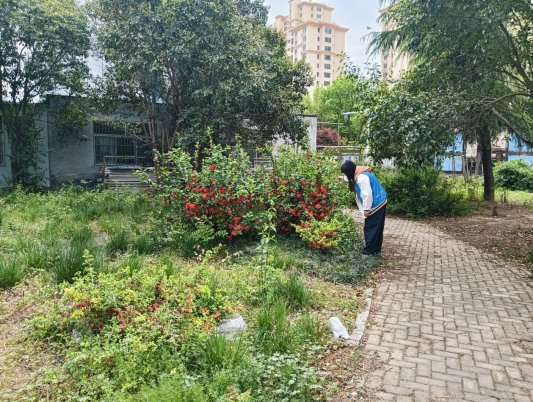 dd2583e35e2c61b0d38b49c0956de6b1