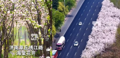 微信图片_20260415171145_45_165