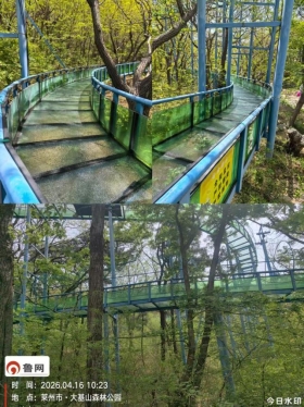 image14.jpeg