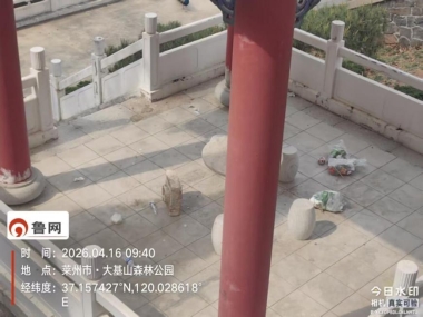 image7.jpeg