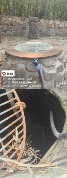 image11.jpeg
