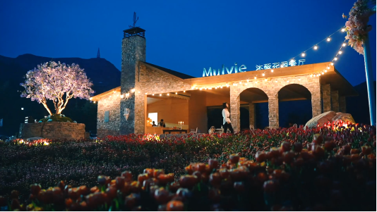 c67cc991aa97af1356c6f4bed848faaf