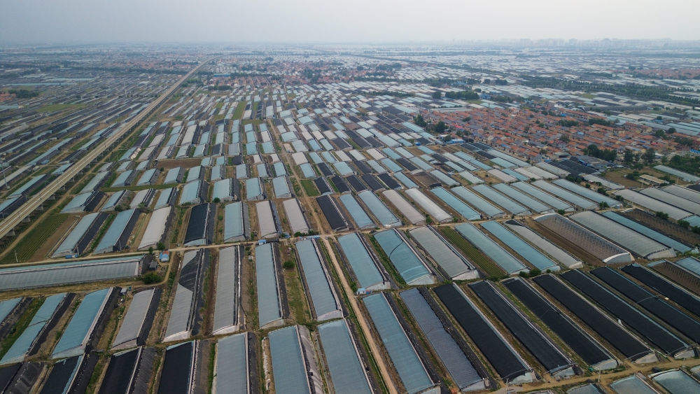 经济大省调研行 