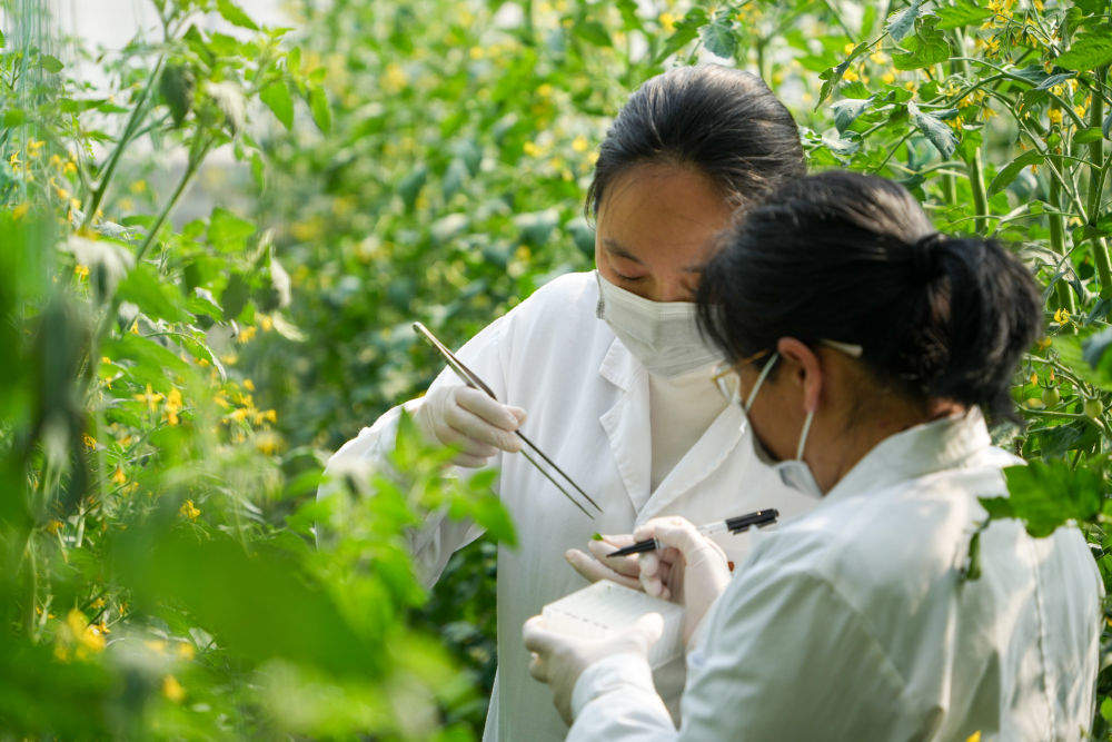 经济大省调研行 