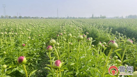 e241c9093d6ad837f5a8f7eeaa7babd7