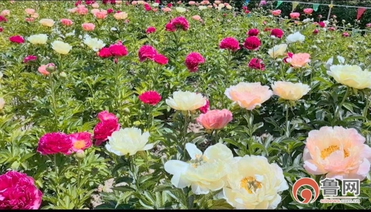 微信图片_20260418094800_775_690