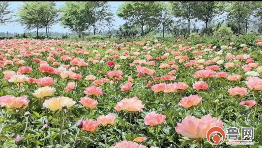 微信图片_20260418094746_774_690