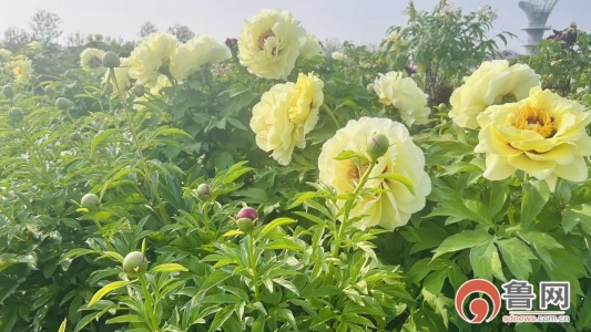 0ad43d288bb0a8f764b620569640aff5