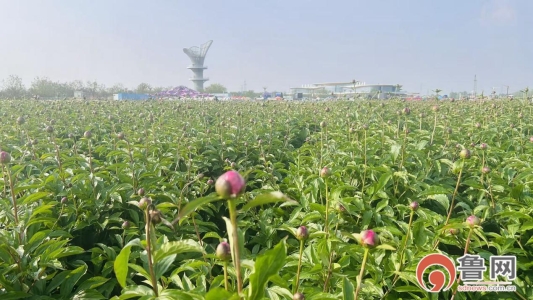 3c6c4d6cc85d8de8c7e817dc54e6336c