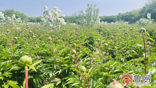 8a2e07adb3706f0a400ab939b6fb7a24