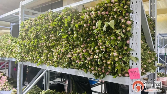 efa471aeb9354805cdd880490c06fdc6