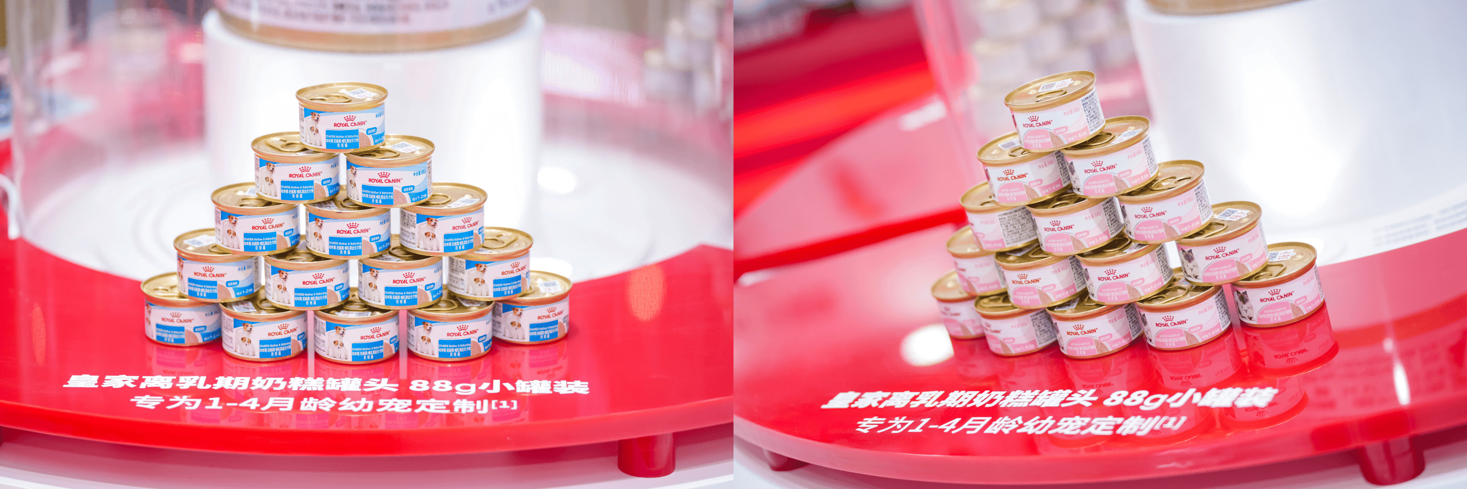 2. 新品区-皇家离乳期奶糕罐头.png