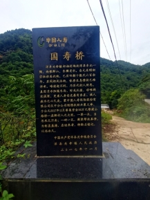 陕南通往杆柏村的国寿桥1