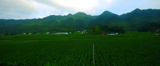 6.燕子镇荞云村