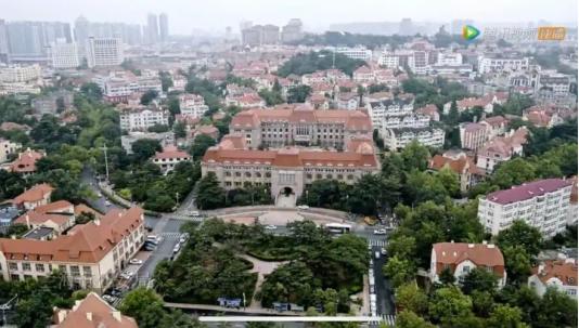 IMG_263