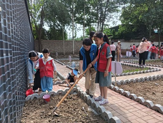 26.6.1.“信用＋六一农耕”