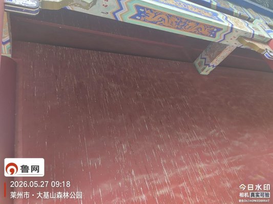 殿墙鸽粪