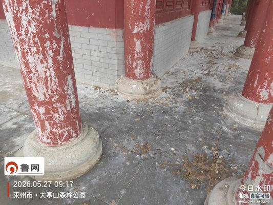 殿前鸽粪依旧