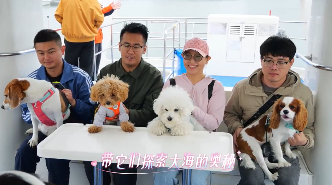 宠物也能坐船出海啦！青岛推出“宠物友好”海上游