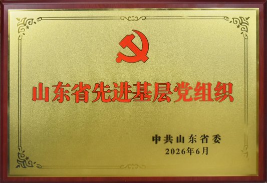 齐鲁银行历城中心支行荣获“山东省先进基层党组织”