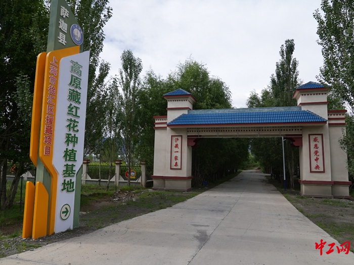 图片4