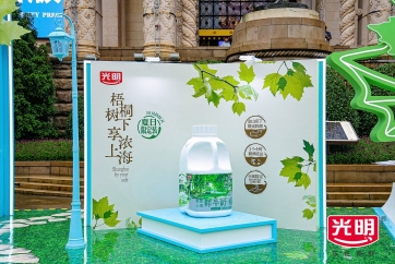 梧桐树下特写