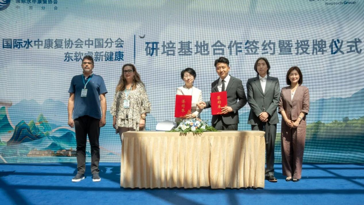 东软睿新