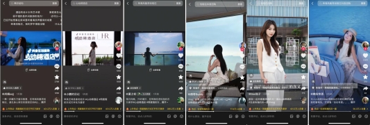 IMG_259