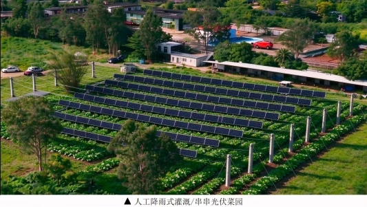 D:zhuomian新闻集锦1010新闻通稿6串串光伏菜园照.jpg