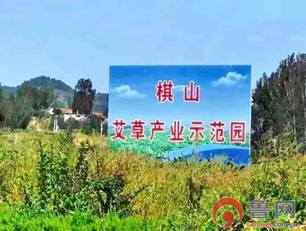济南市钢城区棋山国家森林公园：打造全国重要的艾草种植、加工、销售基地