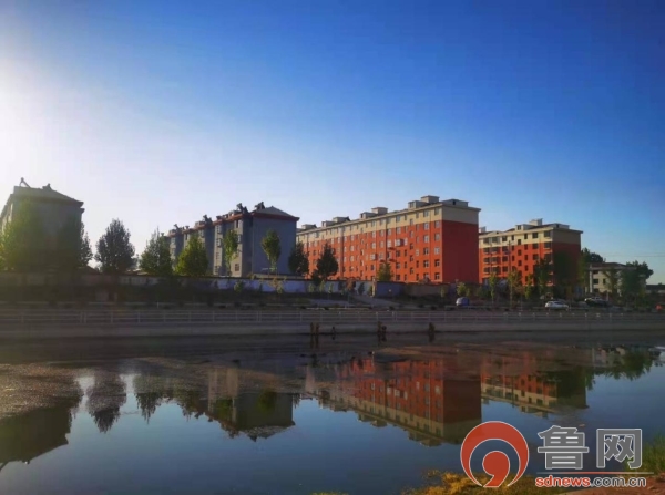 济南市莱芜区大王庄镇全方位多管齐下进行大王庄河河道生态修复工程