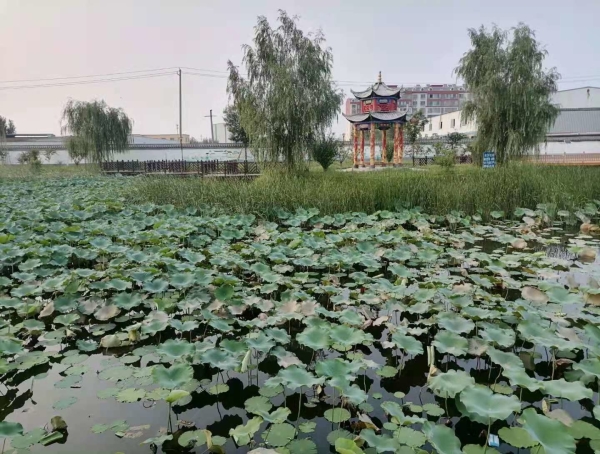 山水胜境，人间福地！——探访“运河岸边的美丽乡村”之梁山篇