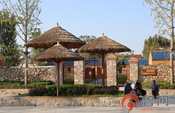 济宁市微山岛镇吕蒙村打造田园乐园家园的乡村振兴样板村庄