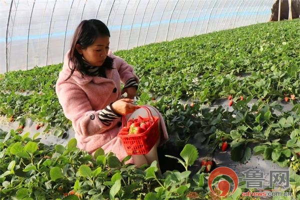 冠县万善乡最烂的女人图片