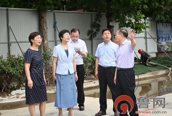 临沂市教育局局长陈海玲到临沂朱夏小学调研"解决大班额"工作