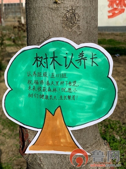 临沂市临沭县郑山街道中心小学开展"认领一棵树 呵护一片绿"活动