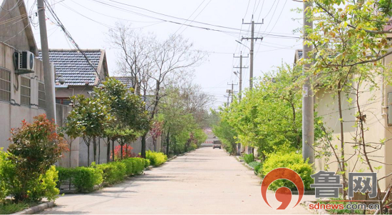 临沂市莒南县岭泉镇推进三项治理建设宜居家园