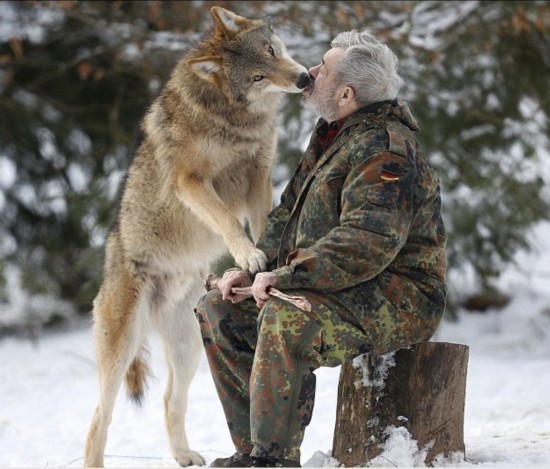 德国男子与狼共食统领29只猛兽图