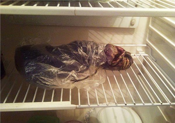 冰柜藏尸案图片