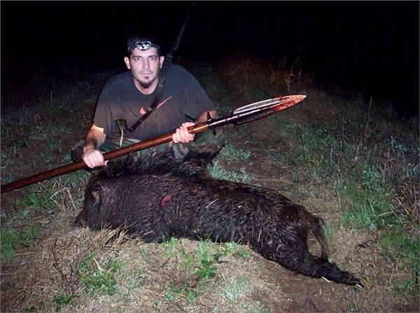 美国男子用飞机捕野猪6个月内猎杀300头图