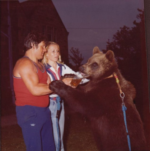 英国夫妇25年与熊同处情谊深厚感动世人图