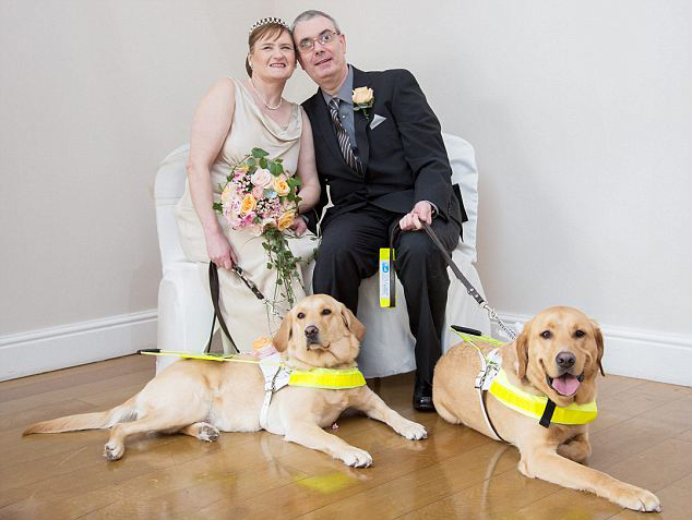 英国两位盲人因导盲犬相识喜结连理图